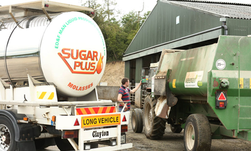 SugarPlus Molasses delivery